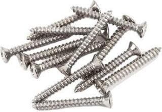 Vedrud, kruvid Fender Bass/Telecaster Bridge/Strap Button Mounting Screws Phillips-Head Chrome 12 Pack