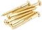 Brug pin Fender Vintage-Style Strat Bridge Gold Brug pin