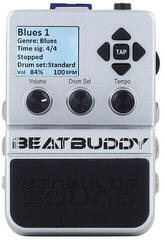 Stompbox
 Singular Sound BeatBuddy Stompbox