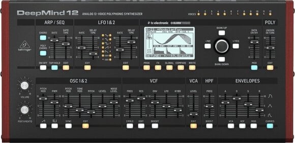 Behringer Deepmind 12D Syntezatory - Muziker