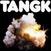 Disque vinyle Idles - Tangk (LP)