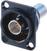 XLR-Stecker Neutrik NBB75DFIB XLR-Stecker