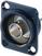 XLR-Stecker Neutrik NBB75DSGB XLR-Stecker