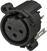 XLR-Stecker Neutrik NC3FAV2-0 XLR-Stecker