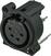 XLR-Stecker Neutrik NC4FAV-0 XLR-Stecker