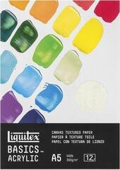 Sketchbook Liquitex 72.4205 Basics Sketchbook A5 300 g