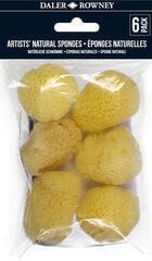 Zubehör Daler Rowney 132990010 Malschwämme