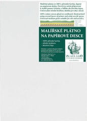 Tela da pittura Zlatá loď Tela da pittura B41.4874 White 30 x 40 cm 1 pz