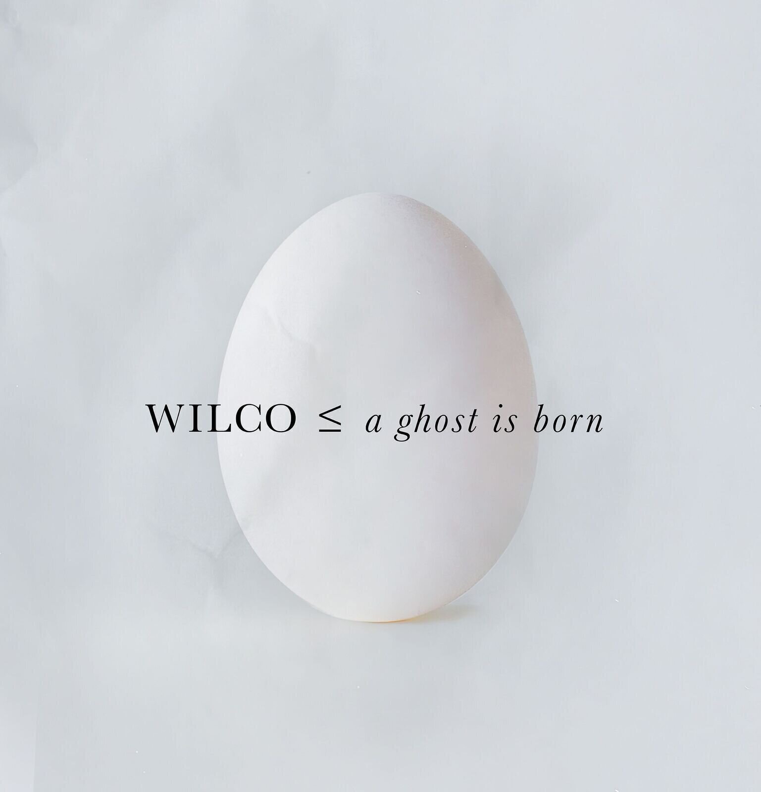 Vinyl Record Wilco - A Ghost Is Born (2 LP)