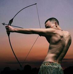 LP ploča Olly Alexander - Polari (Purple Transparent Coloured) (LP)