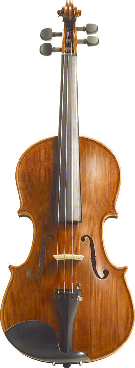 Vioară acustică Stentor Elysia 1/2 Vioară acustică