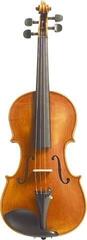 Violin Stentor Messina 4/4 Violin