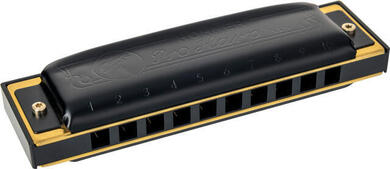 Hohner Pro Harp MS Richter-A Diatonikus szájharmonika (Mint új)