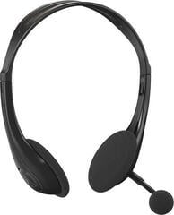 Headset voor kantoor Behringer HS20 Black Headset voor kantoor
