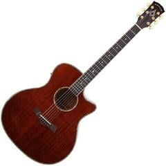 elektroakustiline kitarr Arrow Platinum Elite A CE Mahogany