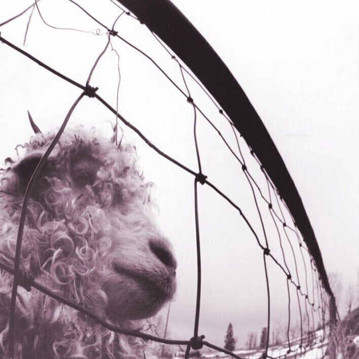 Pearl Jam - Vs. (Remastered) (LP)