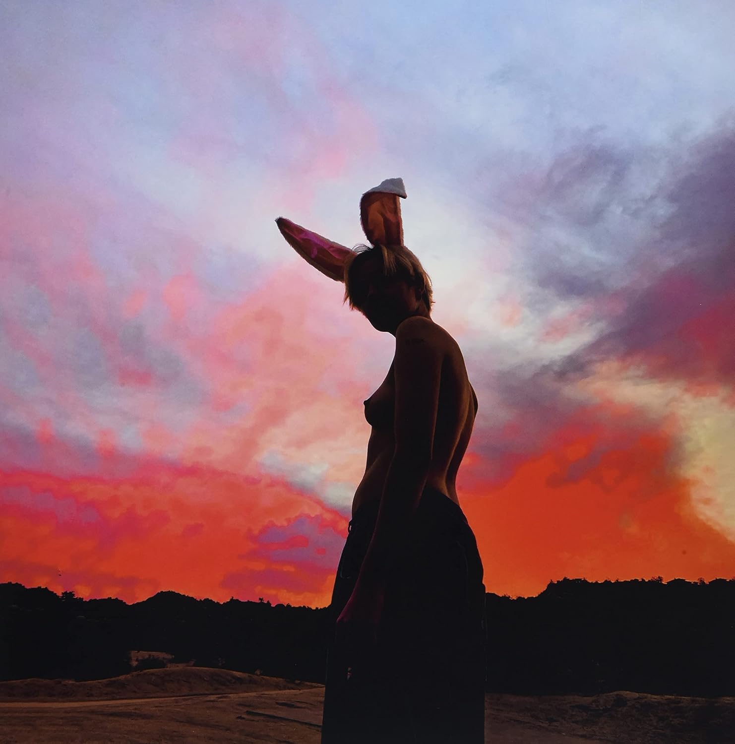 BIIG PIIG The Sky Is Bleeding LP - Sklep internetowy