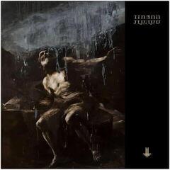 Vinüülplaat Behemoth - I Loved You At Your Darkest (Transparent Natural Coloured) (2 LP)