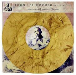 Hanglemez John Lee Hooker - Blues Roots (Marbled Coloured) (LP)