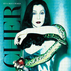 Disc de vinil Cher - It'S A Man'S World (2 LP)
