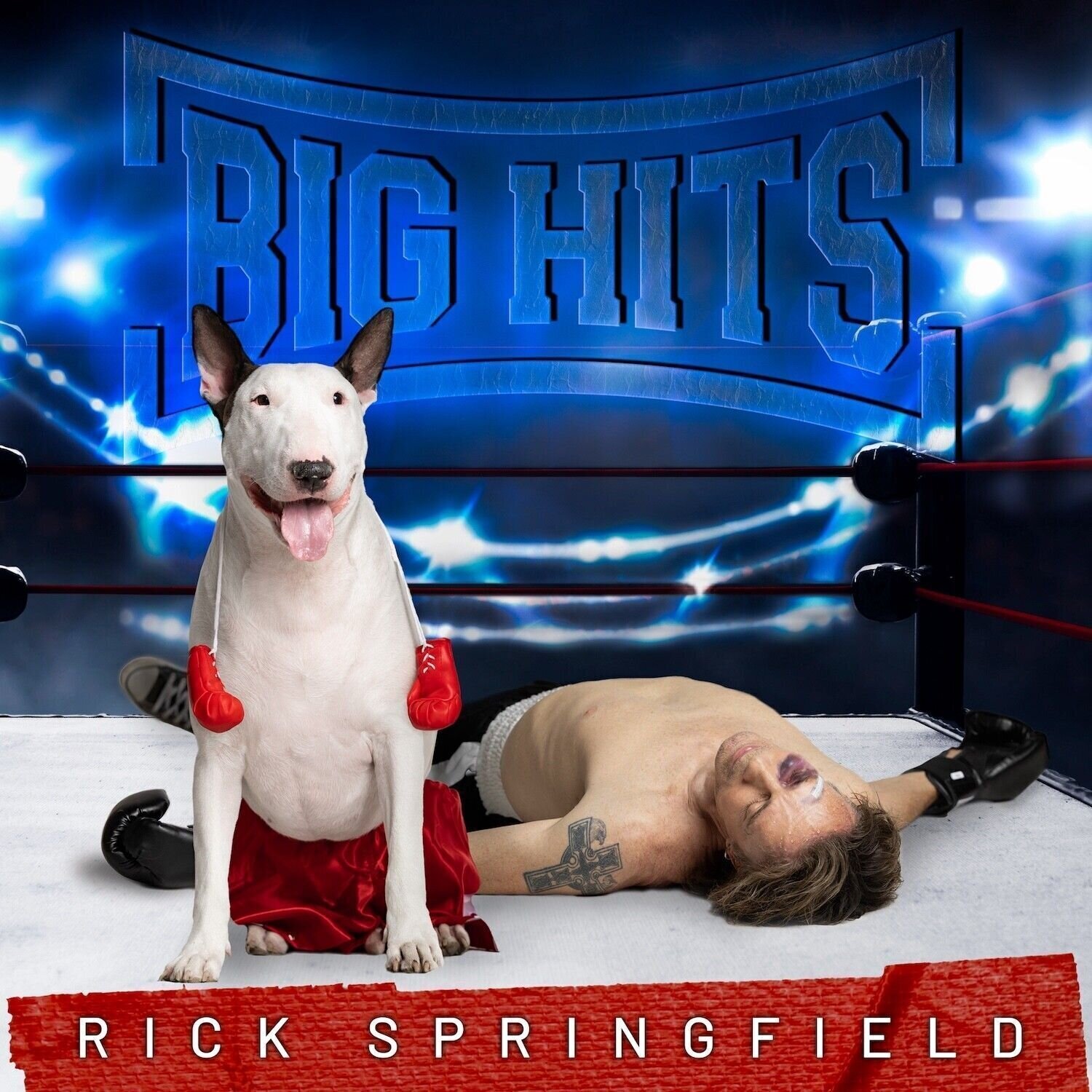 Muziek CD Rick Springfield - Big Hits: Rick Springfield's Greatest Hits, Vol. 2 (CD)