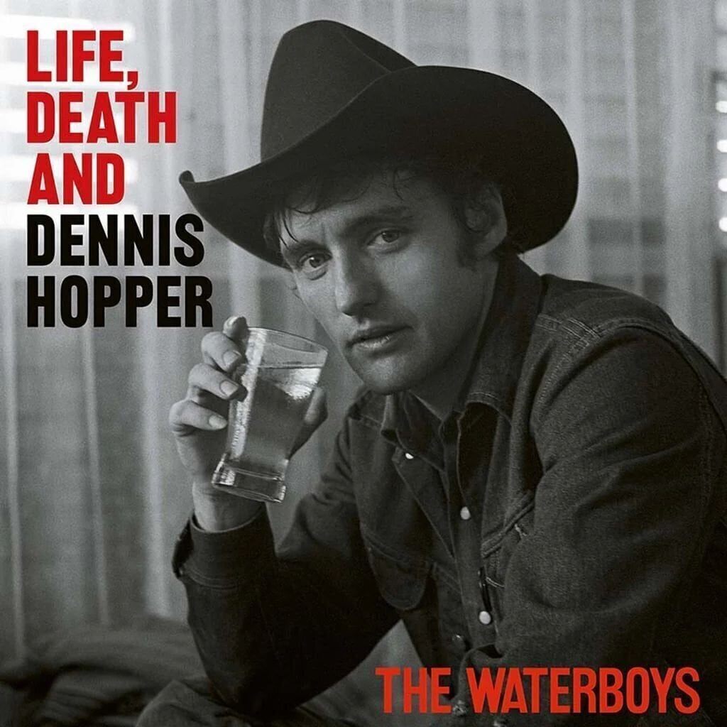 Музичний компакт-диск The Waterboys - Life, Death And Dennis Hopper (CD)