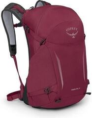 Outdoor Backpack Osprey Hikelite 32 Chameleon/Black/26 L