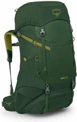 Lifestyle Rucksäck / Tasche Osprey Ace Rucksack Green Canopy/Matcha Green 38 L