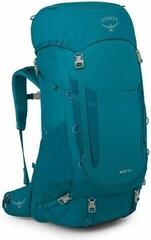 Lifestyle Backpack / Bag Osprey Ace Backpack Blue Spikemoss/Deep Peyto 65 L