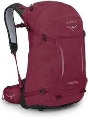 Outdoor-Rucksack Osprey Hikelite 28 Chameleon/Black M/L Outdoor-Rucksack