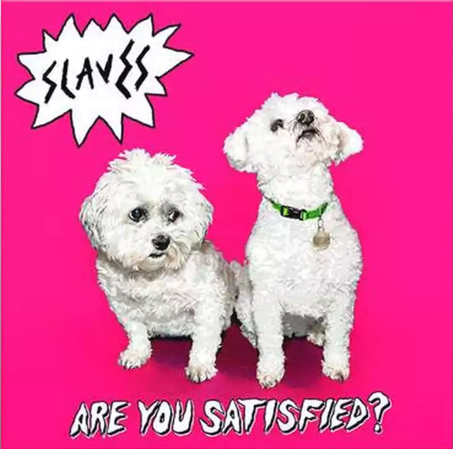 LP ploča The Slaves - Are You Satisfied? (LP)