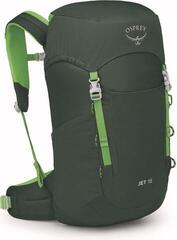 Mochila para exteriores Osprey Jet 18 Green Canopy/Limeline Green Mochila para exteriores