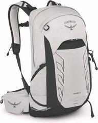 Lifestyle Backpack / Bag Osprey Talon Backpack White 22 L