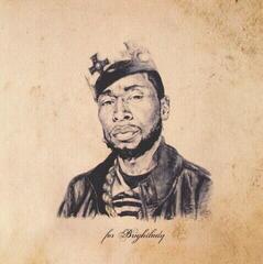 LP ploča 9Th Wonder - The Wonder Years (2 LP)