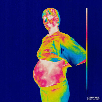 LP ploča Brockhampton - Iridescence (Clear Coloured) (2 LP) - 1