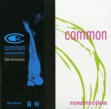 Vinylplade Common - Resurrection (Coloured) (Anniversary Edition) (Deluxe Edition) (2 LP) - 1