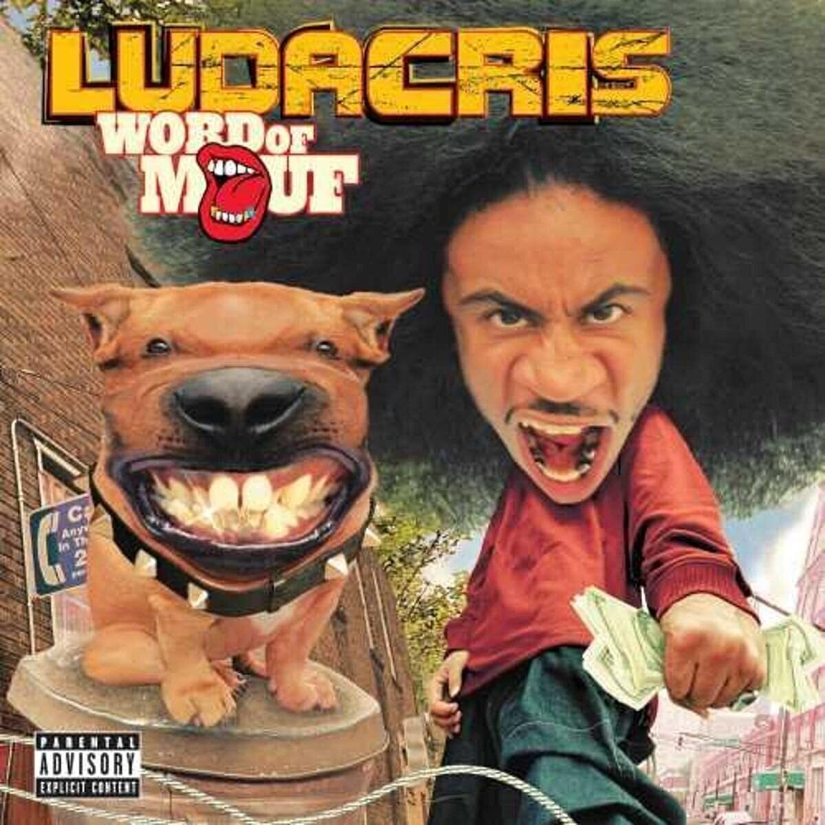 LP ploča Ludacris - Word Of Mouf (Clear Coloured) (2 LP)