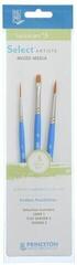 Malířský štětec Princeton Brush Selectartiste Multi-Technique 3 Sada štětců 3 ks