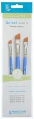 Värvipintsel Princeton Brush Selectartiste Multi-Technique Angle Shader Pintselkomplekt 3 tk