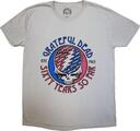 The Grateful Dead Stealie 60 Grey M T-särk