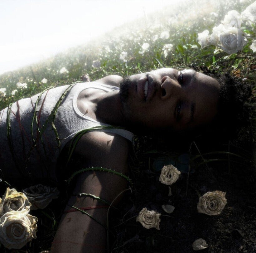 CD musique D4vd - Withered (CD)