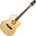 L.R. Baggs AEG-1 Natural Elektroakusztikus gitár (Csak kicsomagolt)