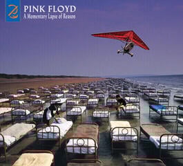 Muzyczne CD Pink Floyd - A Momentary Lapse Of Reason (Booklet) (CD)