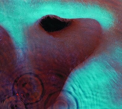 Musik-cd Pink Floyd - Meddle (CD) - 1