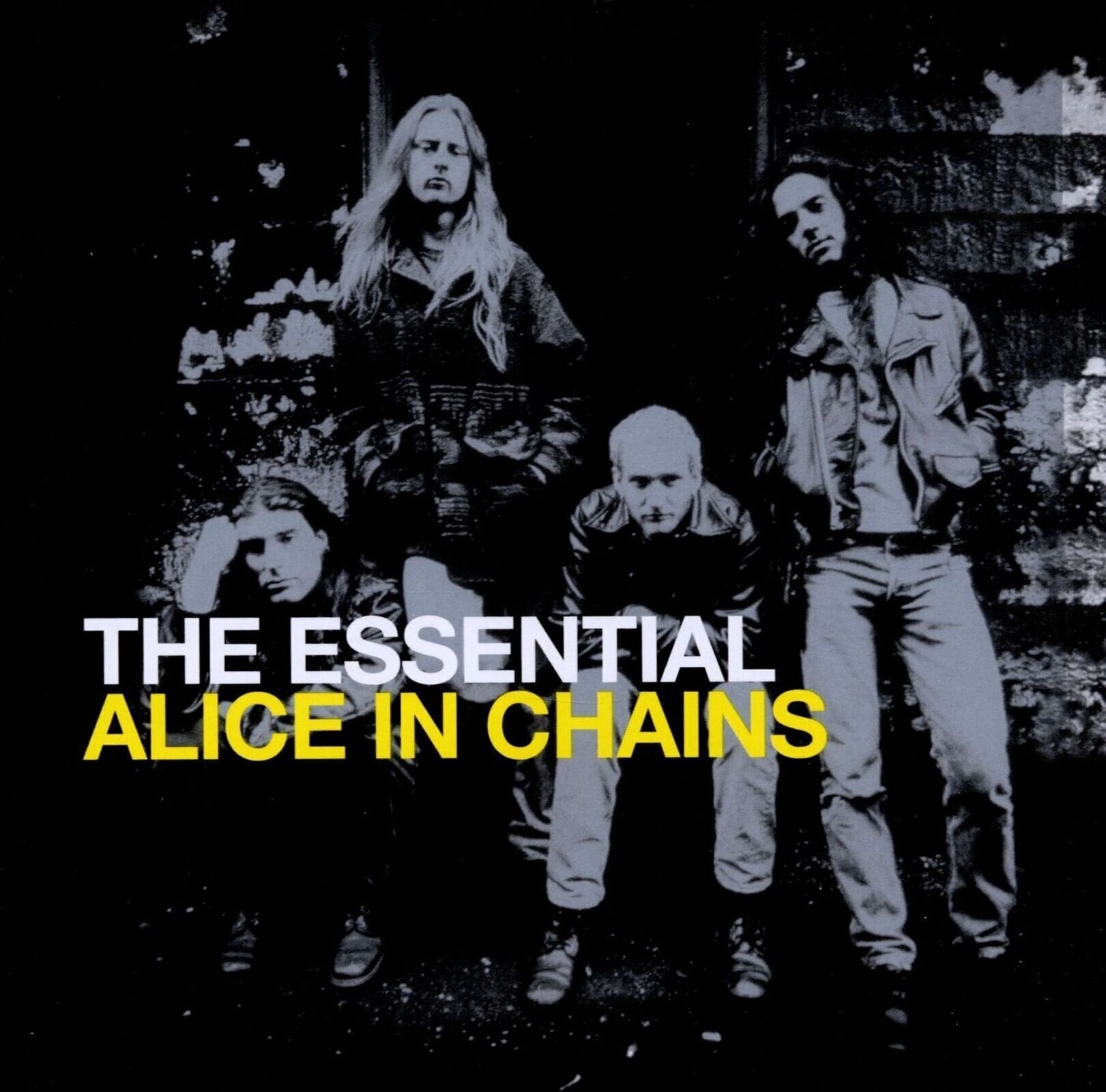 Muzički CD Alice In Chains - Essential Alice In Chains (2 CD)