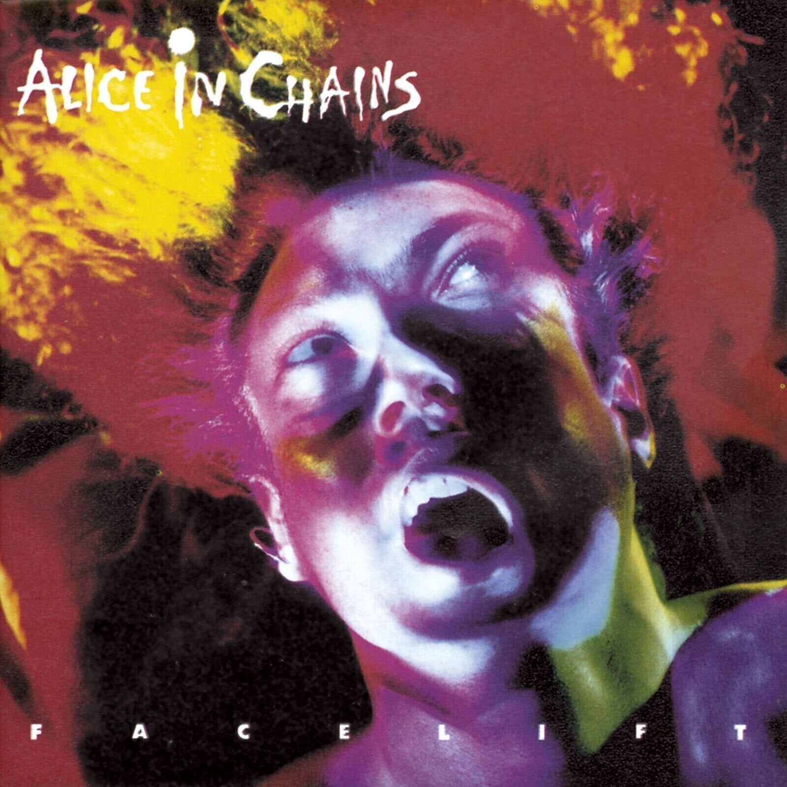 Muusika CD Alice In Chains - Facelift (CD)