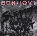 Bon Jovi - Slippery When Wet (CD)