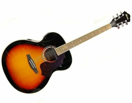 electro-acoustic guitar Ibanez SGE 130 VS - 1