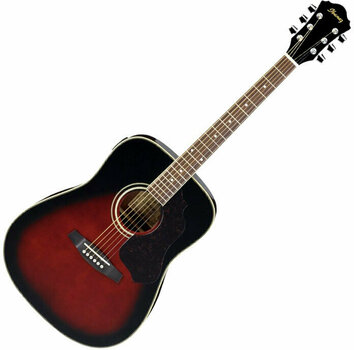 Akoestische gitaar Ibanez SGT 120E VBS - 1