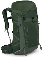 Lifestyle Backpack / Bag Osprey Talon Backpack Green Canopy 33 L